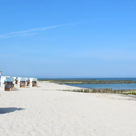 Seeadler * אוסטזיבאד נינהאגן