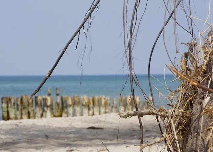 Apartment Seeadler Ostseebad Nienhagen