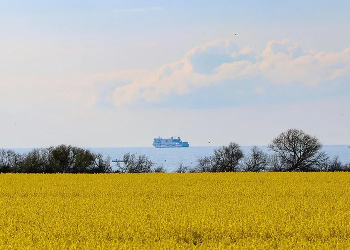 Seeadler Apartment Ostseebad Nienhagen